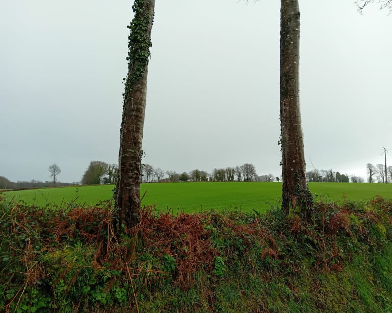 Autour de Ruffosses et Bois de Roudoux - Saussemesnil
