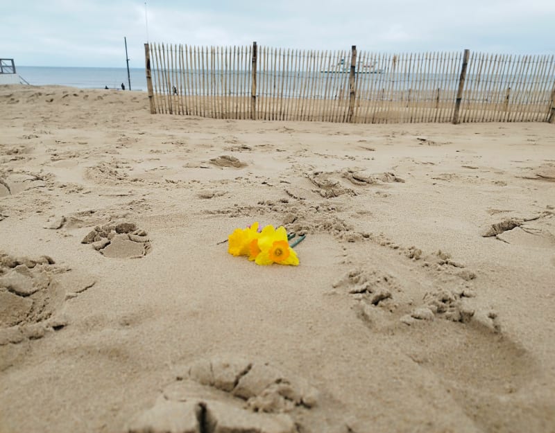 Flower power sur la plage de Calais et Fort Risban - Calais