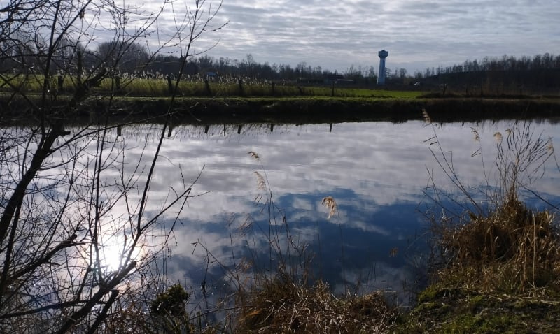 Tourbière de Vred et Bois de Faux - Vred