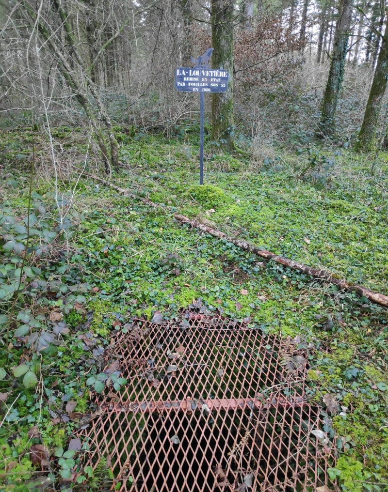 Louvières et Bois du Charme Brulé - Louvières
