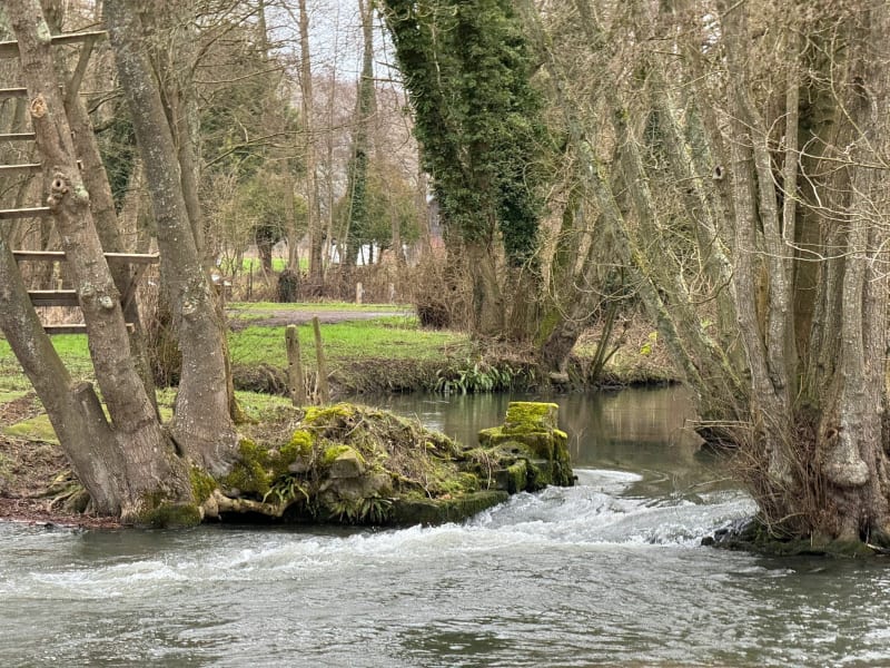Découverte du marais de communaux de Croisy sur Andelle - Croisy-sur-Andelle