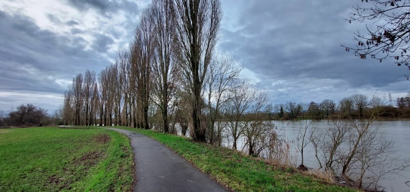 Boucle hivernale, entre Moselle et Bois de Gravel par Luttange et Rurange - Hauconcourt