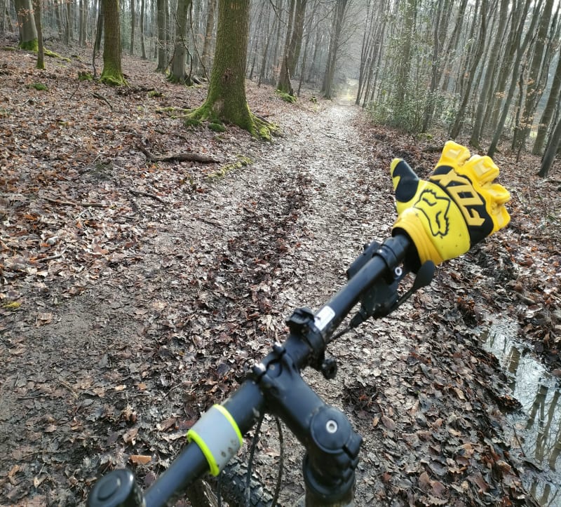 Entre forêt et Cailly - Notre-Dame-de-Bondeville