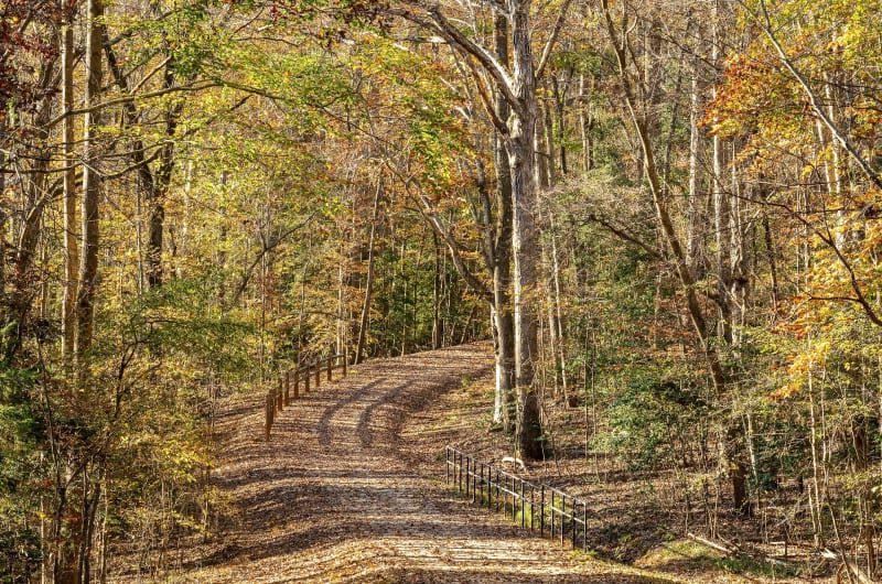 Forêt sectionale de l'Echalusse et de Lunery - Lunery