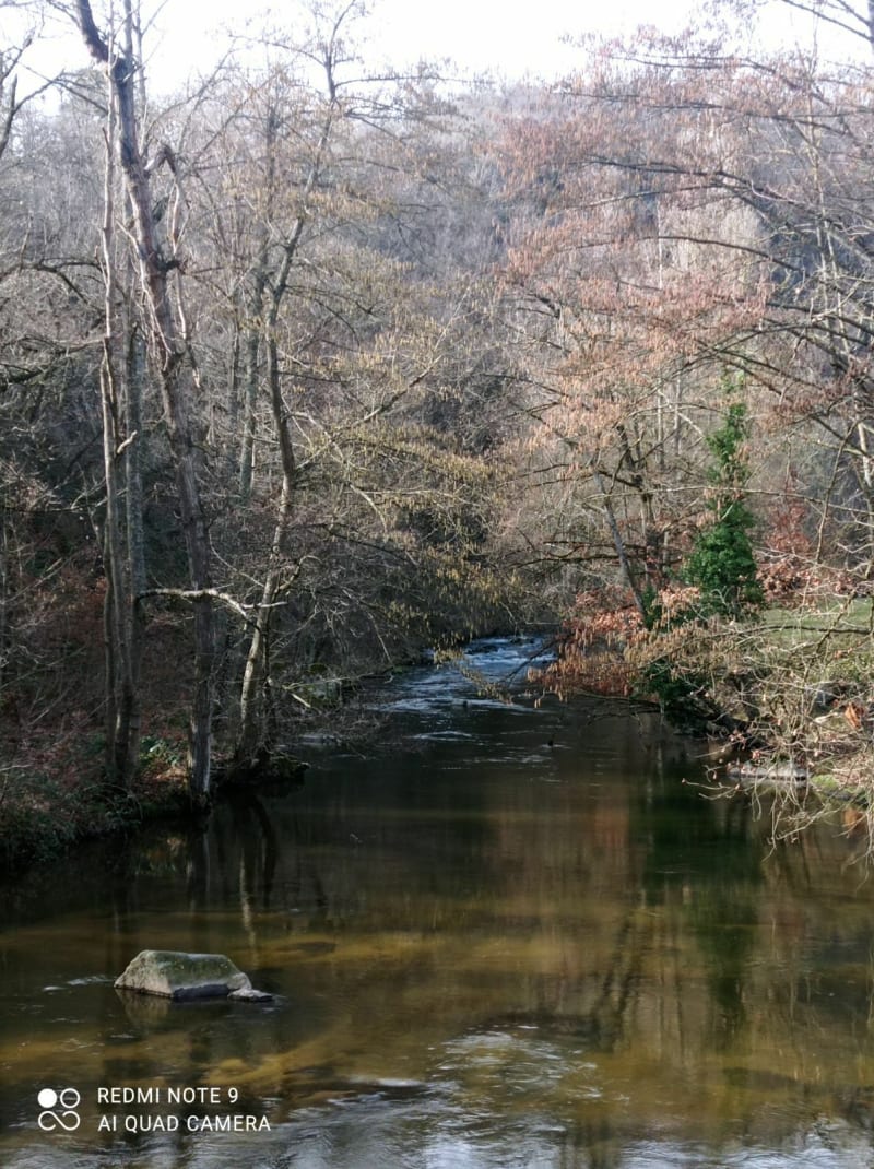 Balade sur les sentiers des vieux moulins au fil de la Coise - Saint-Médard-en-Forez