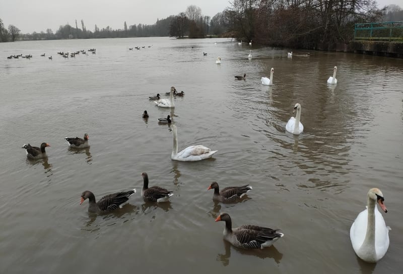 Lac val d Auront - Bourges
