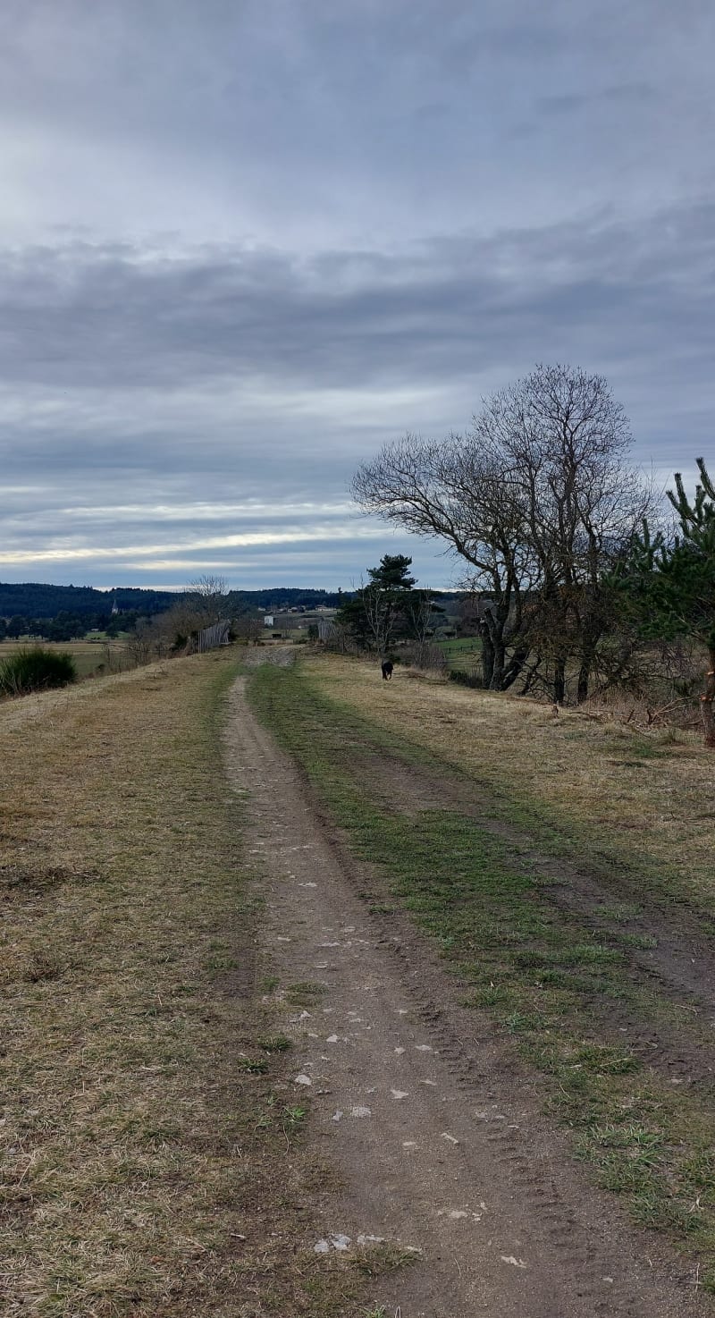 L'aventure du rail Estivareilles - Estivareilles