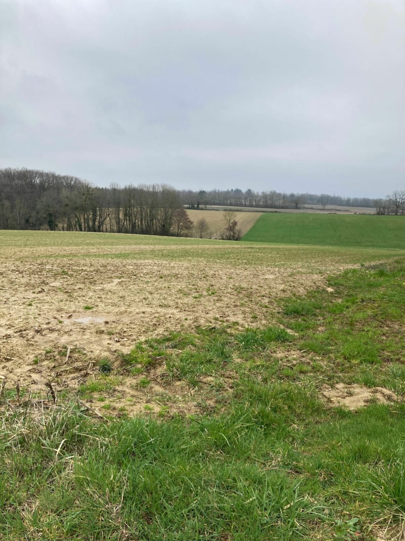 Petite balade autour de Priay - Priay
