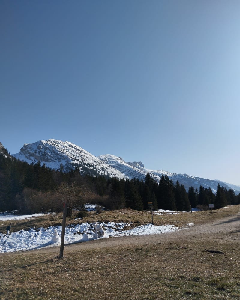 Circuit du Belvédère des Allières en boucle - Lans-en-Vercors