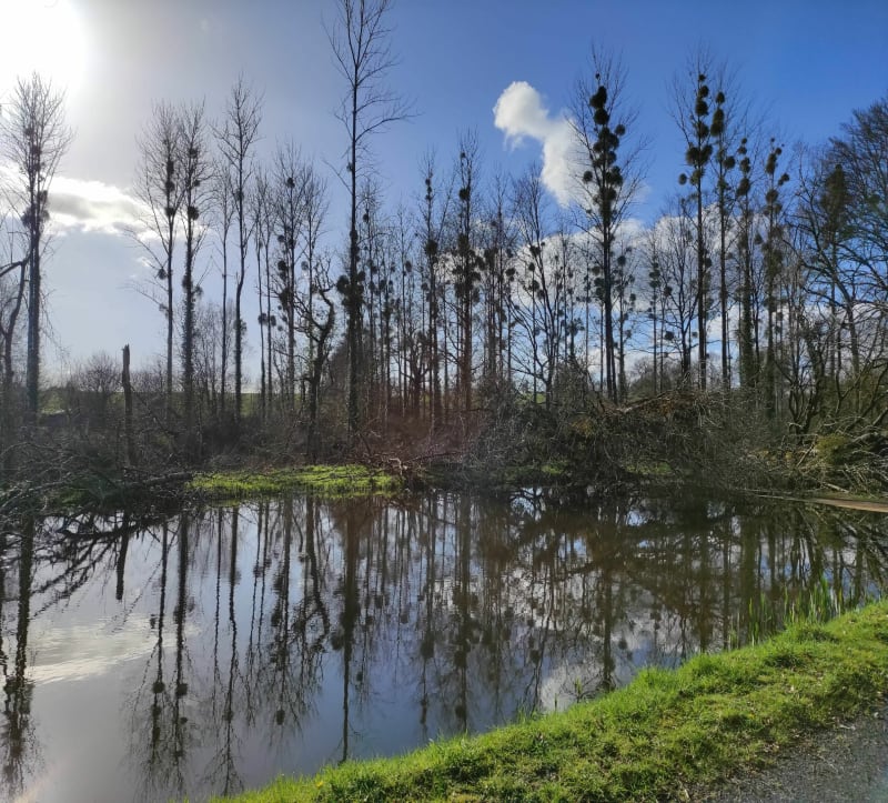 Canal de Nantes à Brest - Carhaix-Plouguer