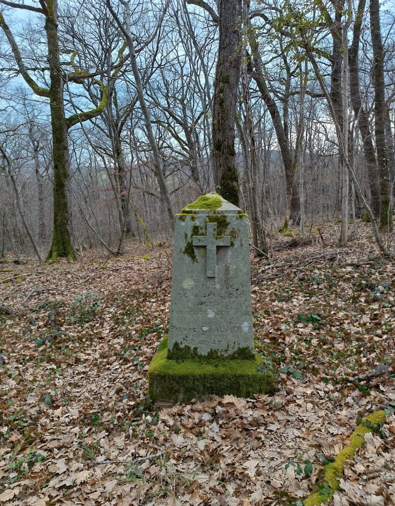 Tour du bois de Serpanoux - Laps