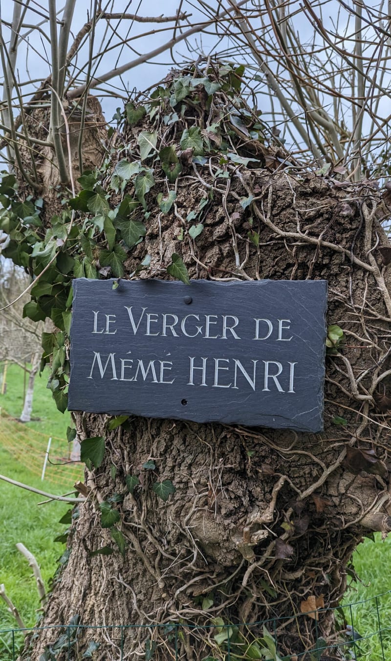 Mûrs-érigné proche échangeur - Mozé-sur-Louet