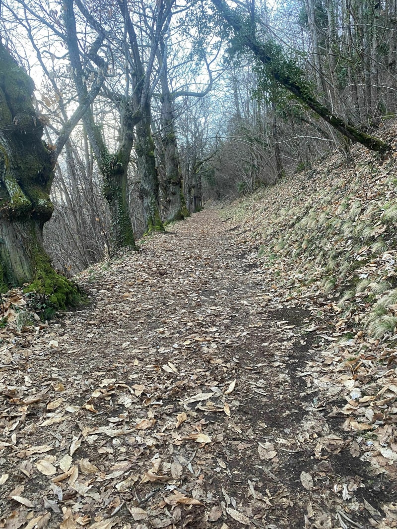 Promenade à Tournoël - Volvic