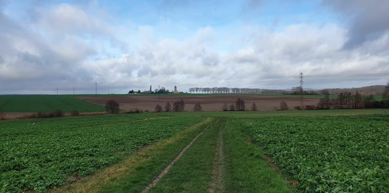 Entre Maurepas et Chènevières Jouars - Maurepas