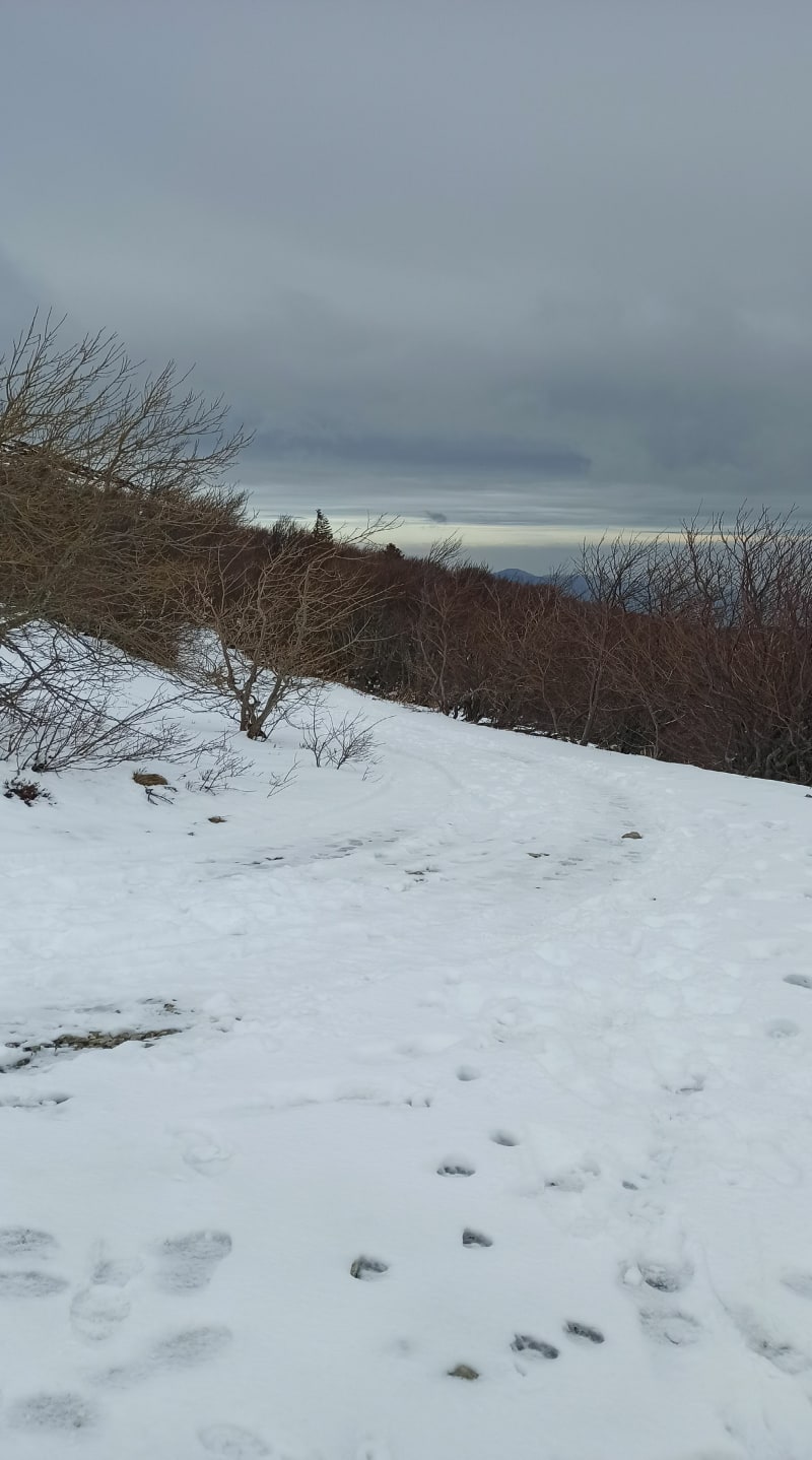 Tour panoramique du Grand Ballon - Soultz-Haut-Rhin