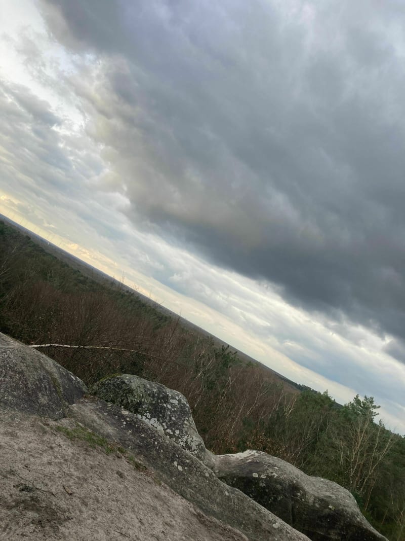 Balade sympathique aux Gorges et Platières d'Apremont - Fontainebleau