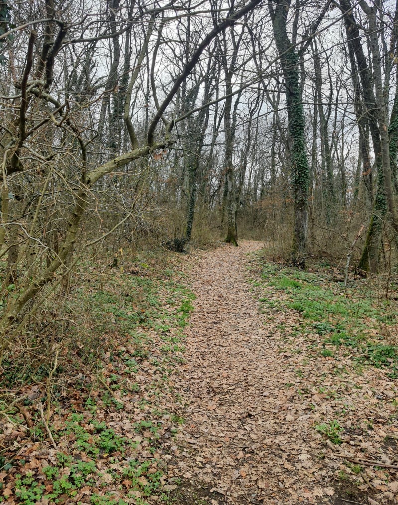 Boucle autour de l'Etang de Saint Bonnet - Vaulx-Milieu