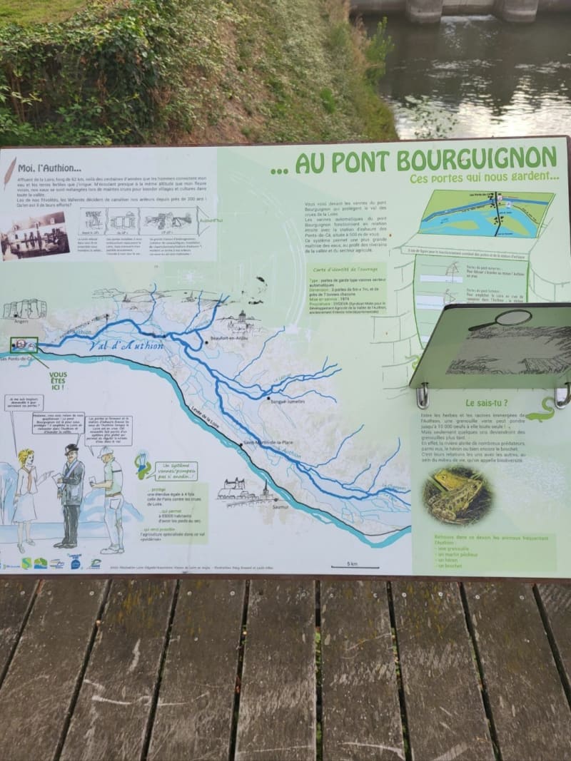 Le long de l'Authion - Sainte-Gemmes-sur-Loire