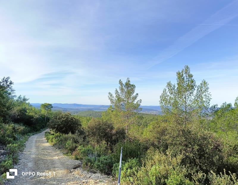 Rando autour des bois de Lens - Crespian