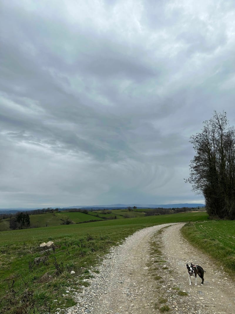 Balade champêtre à Roche - Roche