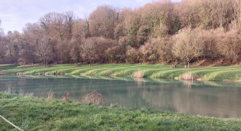 Balade dans les bois de Vitry-sur-Orne - Vitry-sur-Orne