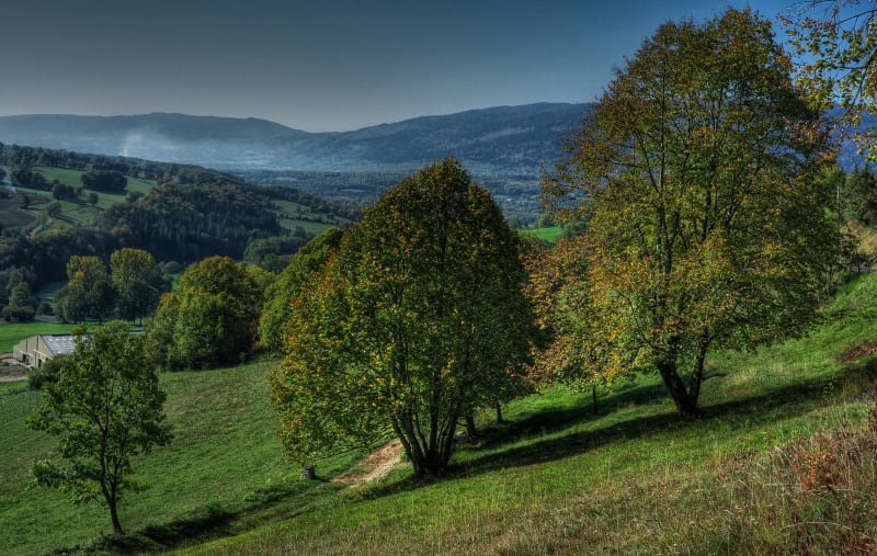 Incursion dans le Jura par le Col de Richemond - Valserhône