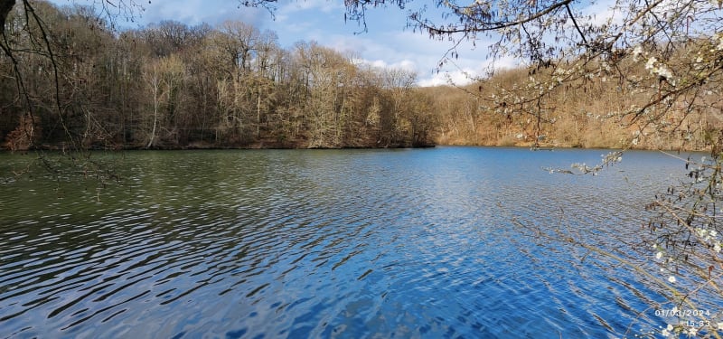 Les Clayes sous bois aux étangs de la Genest à Buc - Les Clayes-sous-Bois