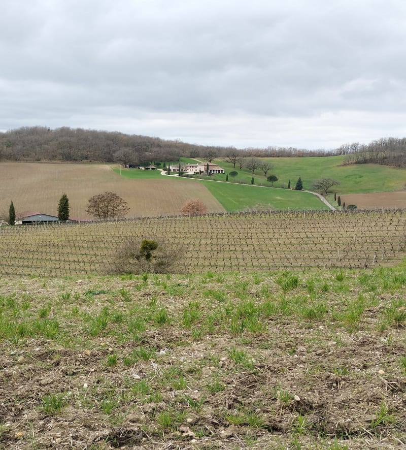 La petite Toscane Lisle sur Tarn - Lisle-sur-Tarn