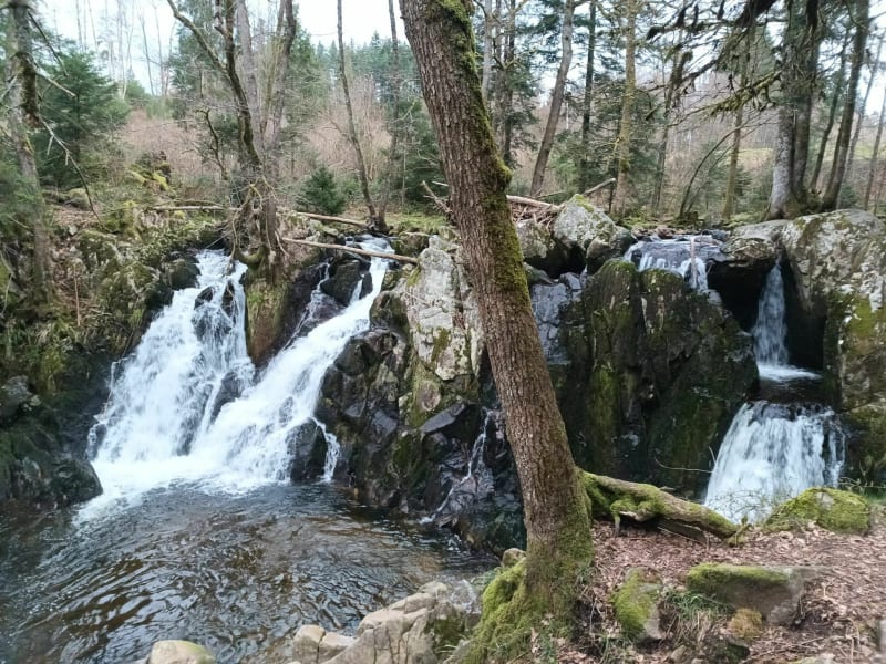 Gérardmer - Des cascades du Bouchot au balcon du Mettey - Gerbamont