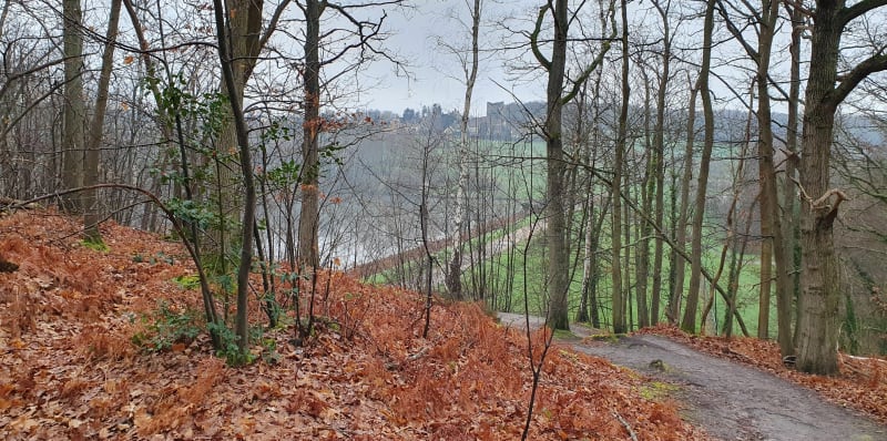 Forêt de Maurepas et bassin de la Courance - Maurepas