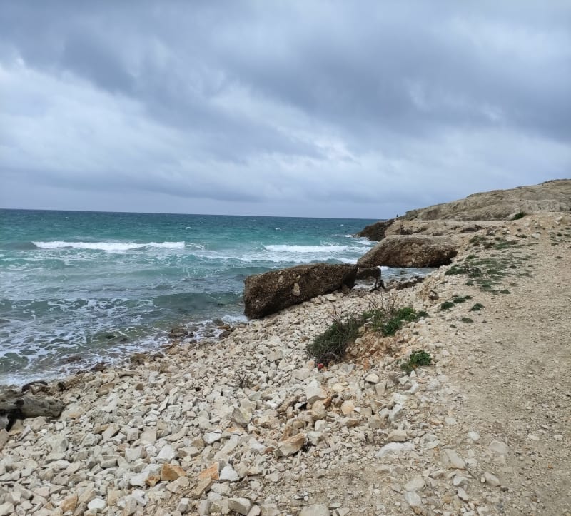 Les bords des Côtes Bleues - Sausset-les-Pins