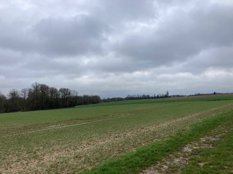 Balade d’hiver autour des Parrichets - Mouroux