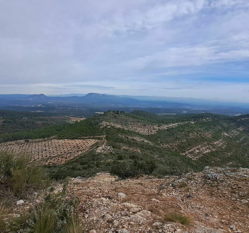 Le Mont Cuit depuis Le Val (83) - Le Val