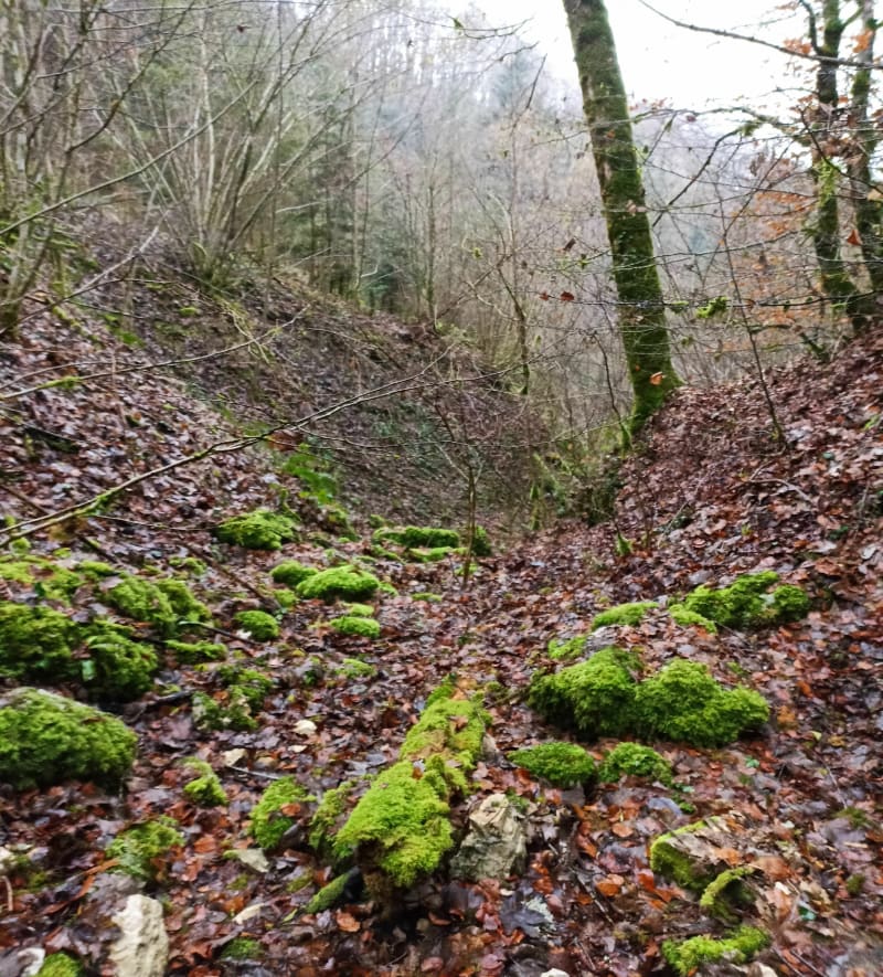 Cuchot par les champs - Rosières-sur-Barbèche