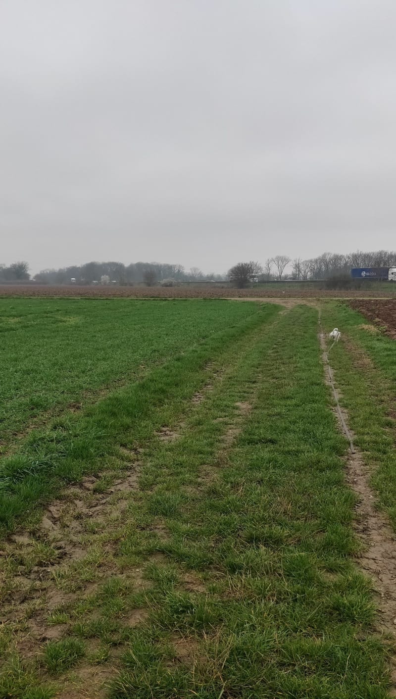 Sentier du Steinbaechlein à Morschwiller-le-Bas - Morschwiller-le-Bas