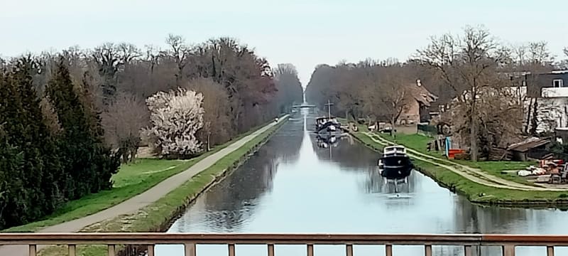 Balade en hiver à Eschau - Eschau