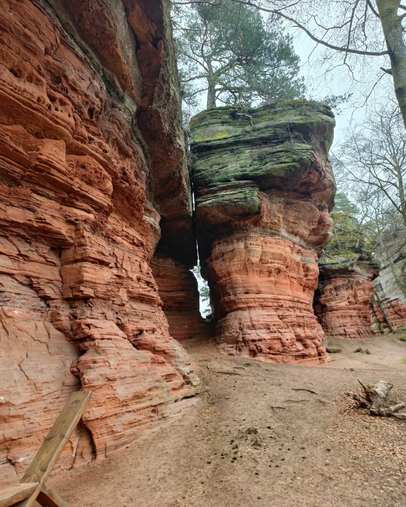 Wandeling in het Elzasser Colorado - Roppeviller