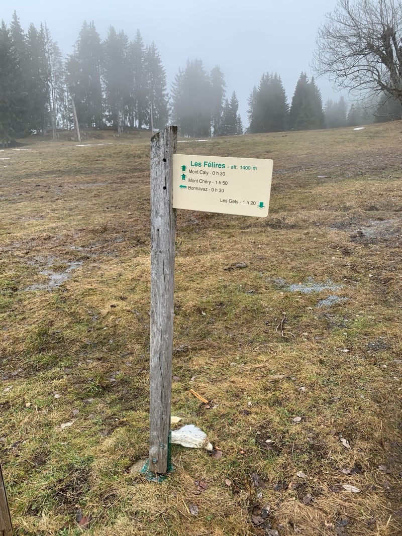 Balade au Mont Caly - Les Gets