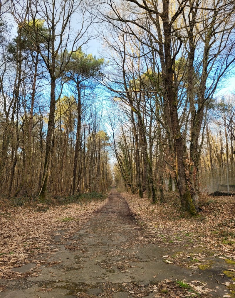 Du bois de Robin des Bois au Parc de la Cigogne - Le Mans