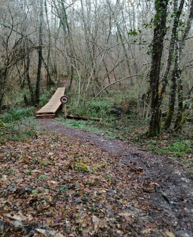 Sentier de Sivens et Combe del Loup - Lisle-sur-Tarn