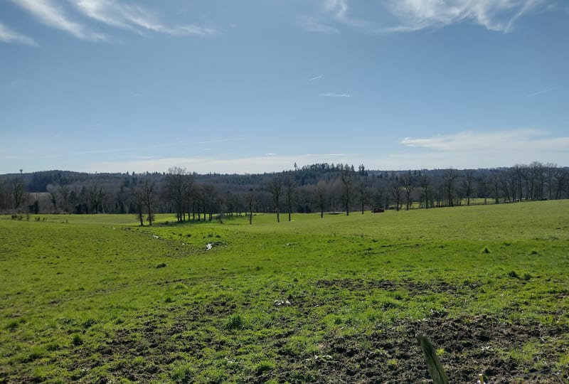 Circuit de l'Ecureuil - Feytiat
