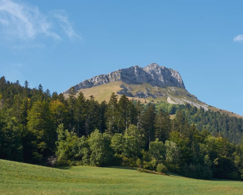Col du Frêne et boucle à vélo dans les Bauges - Aillon-le-Jeune