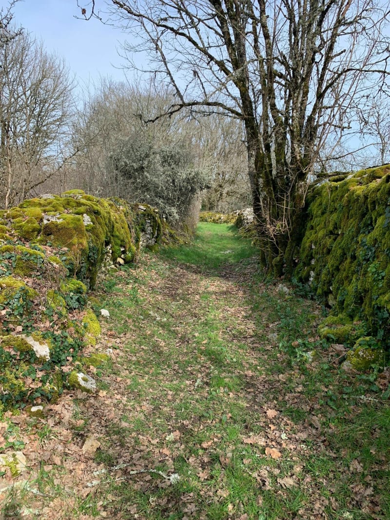 Balade à Ajat par Beauzens. - Ajat