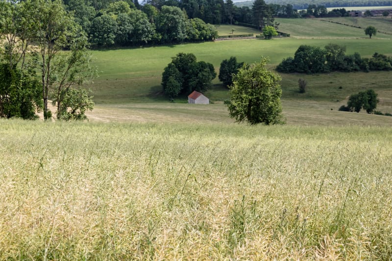 Vallée de la Meuse à vélo, Montigny-le-Roi à Bourmont (Jour 2) - Val-de-Meuse