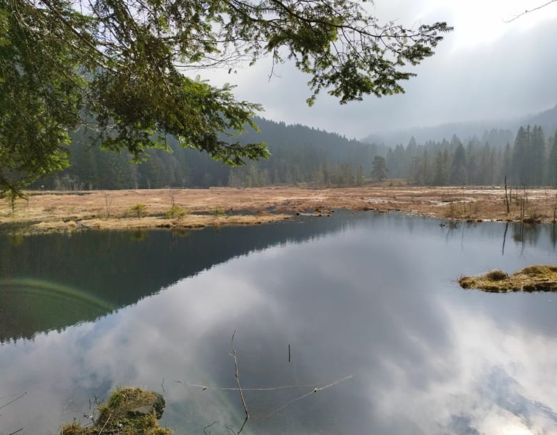 La Bresse - Tour du lac de Lispach - La Bresse