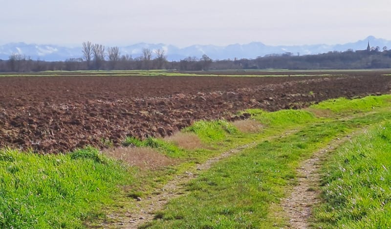 Boucle entre Saint Lys et  Saint Clar - Saint-Lys