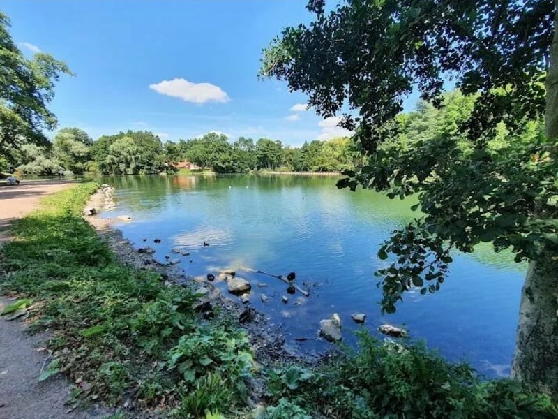 Balade au parc de la Glissoire - Avion