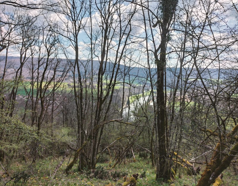 Balade sur les hauteurs de Clerval - Pays-de-Clerval