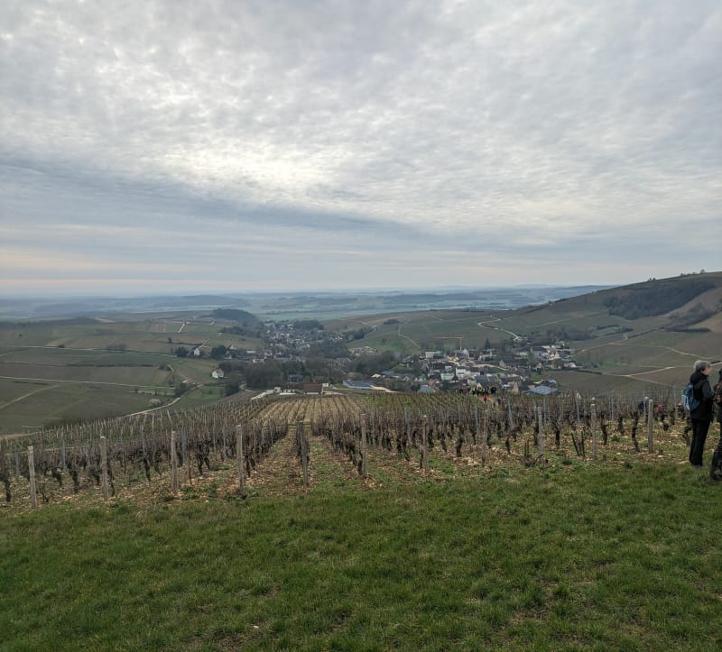 La petite Sancerroise - Sancerre