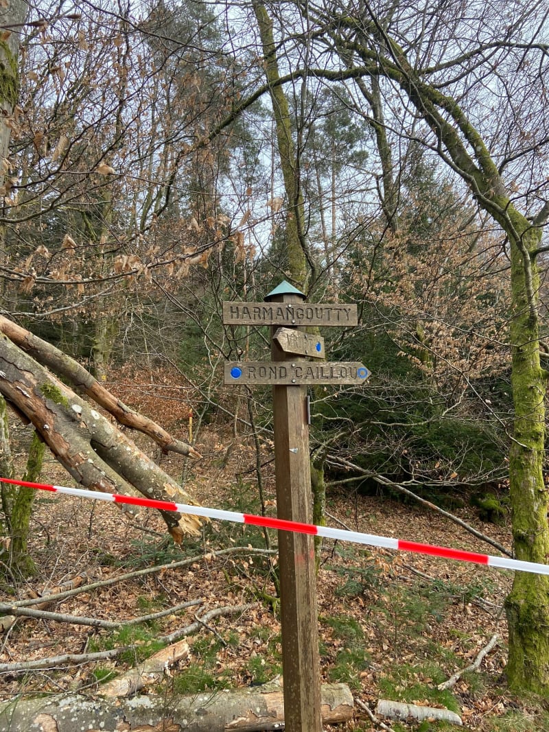 Sur les hauteurs de Raon aux Bois - Raon-aux-Bois
